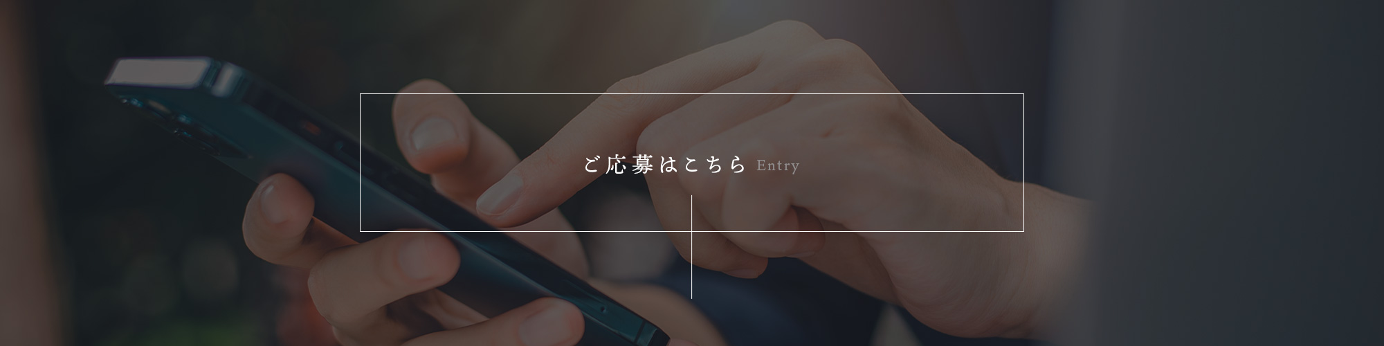 _lp_bnr_entry